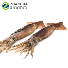 Frozen Illex Argentina Squid 150-200g WR